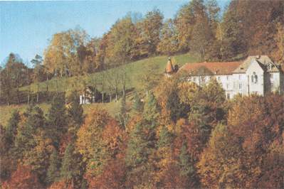 maiche.jpg (20217 octets)