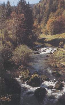 mouthe.jpg (15441 octets)