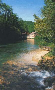 La_Loue.jpg (20056 octets)