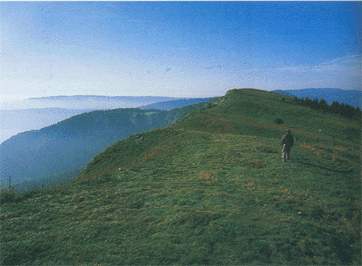 metabief.jpg (12143 octets)