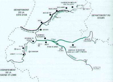 dole.jpg (15221 octets)