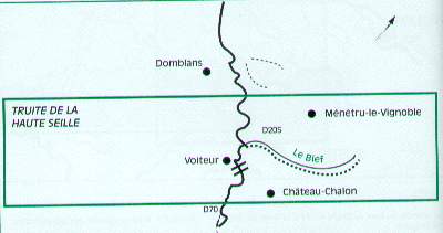 voiteur1.jpg (10640 octets)