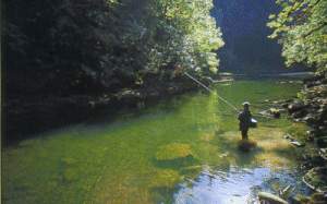 peche.gif (47505 octets)